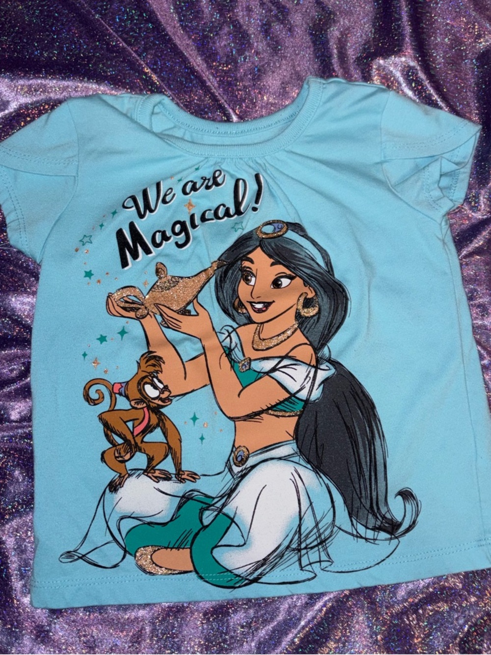 Disney Jasmine & Abu Shirt